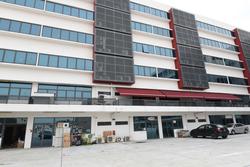 ZERVEX (D14), Factory #125064602